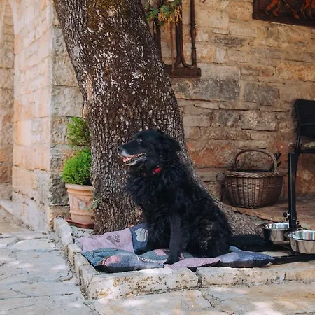 Tatil Evi Casa Karnevali